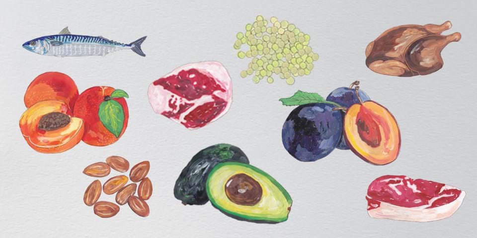 THE SECRETS OF APPETITE 