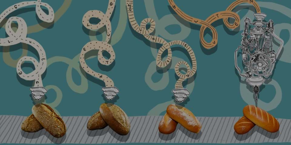 HOW BAD IS GLUTEN, REALLY?