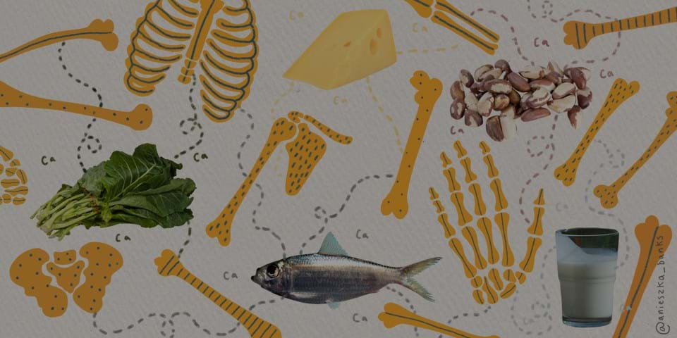 THE SECRETS TO BONE HEALTH