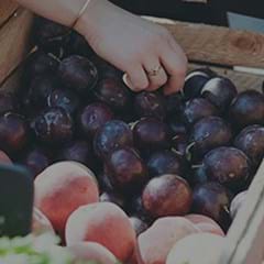 organic advantagesThumbnail 240x240.jpg