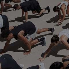 BEAR CRAWL –– thumbnail 240x240.jpg