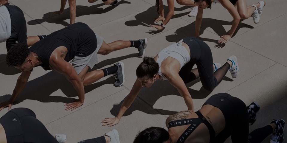 WHERE BEAR CRAWLS GO WRONG