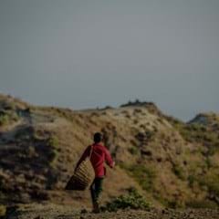 WFW by Dan and Diana –– 240X240.jpg