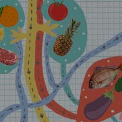 Detox-240x240.jpg