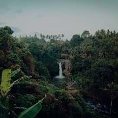Enviro roundup 3_240x240.jpg