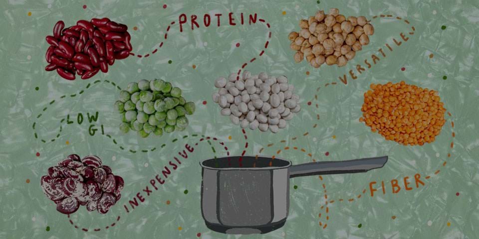 LEGUMES & PULSES