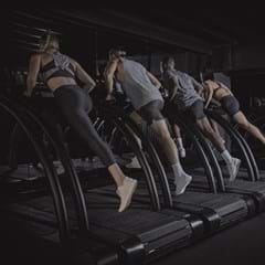 Herbs Book_240x240px_Darkened.jpg