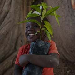 Tree Planting: For a fitter planet