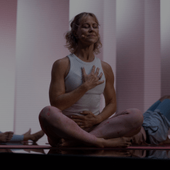 240x240-q4-releases.png (1)