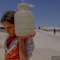 WFW (240 × 240 px).jpg