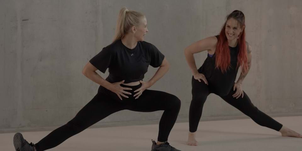 Pregnancy modifications