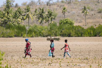 People walking