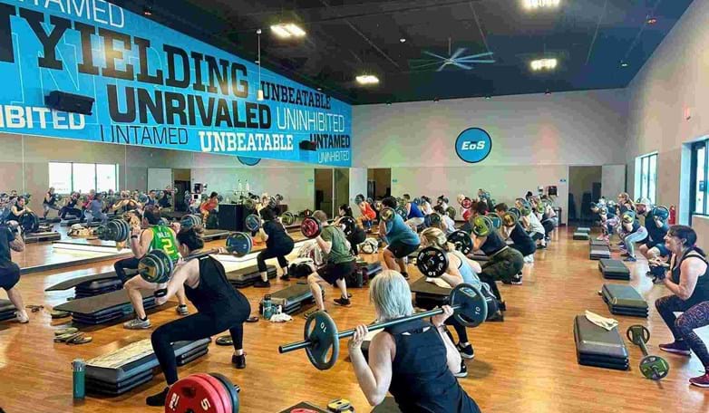 ニュープログラムの導入を最大限に活かす：チャレンジ企画のススメ