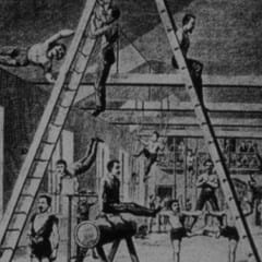 Fitness history 2 240x240-darkened.jpg