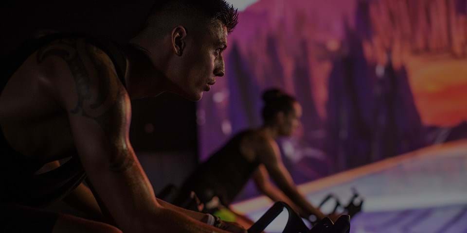 THE TRIP: TECH & DEVELOPMENT