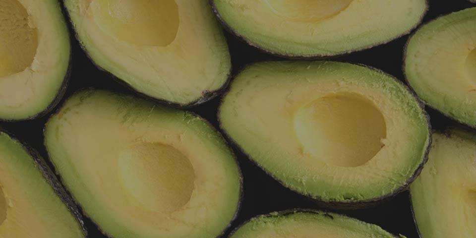 FAT FACT VERSUS FAT FICTION