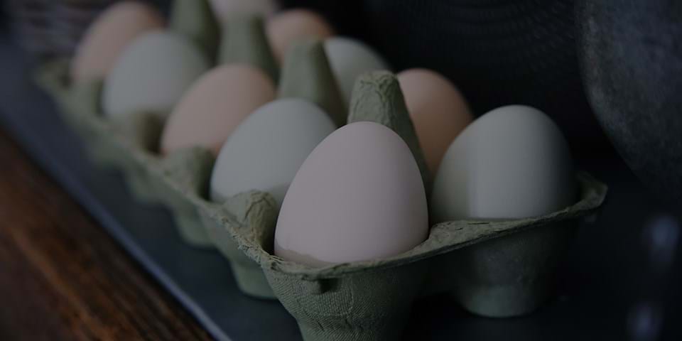 THE TRUTH ABOUT EGGS