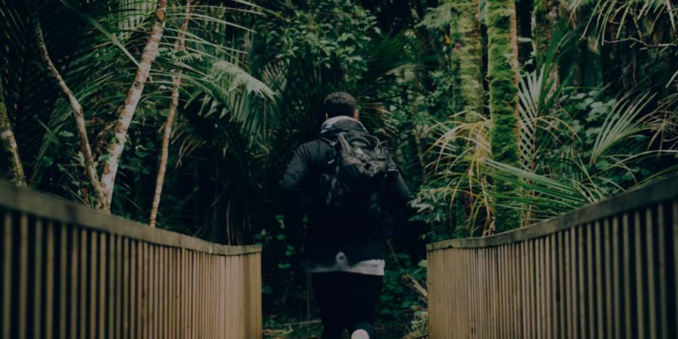 NATURE’S HEALING POWER