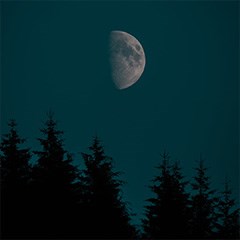 circadian-rhythm-240x240.jpg